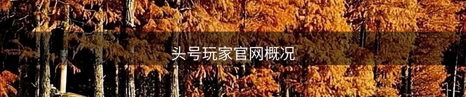 头号玩家官网概况