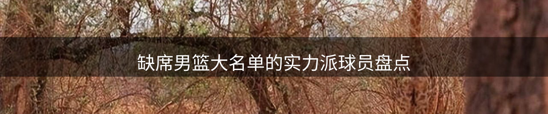 体育资讯